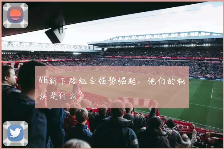 WE新下路组合强势崛起，他们的秘诀是什么？