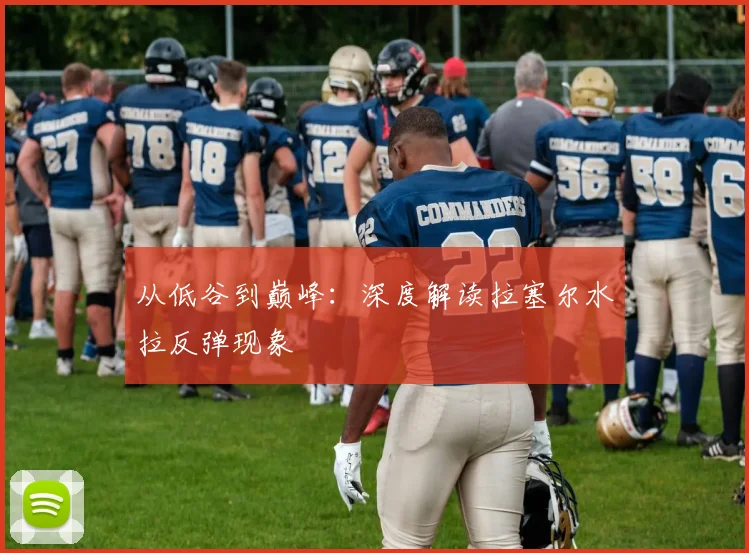 从低谷到巅峰：深度解读拉塞尔水拉反弹现象