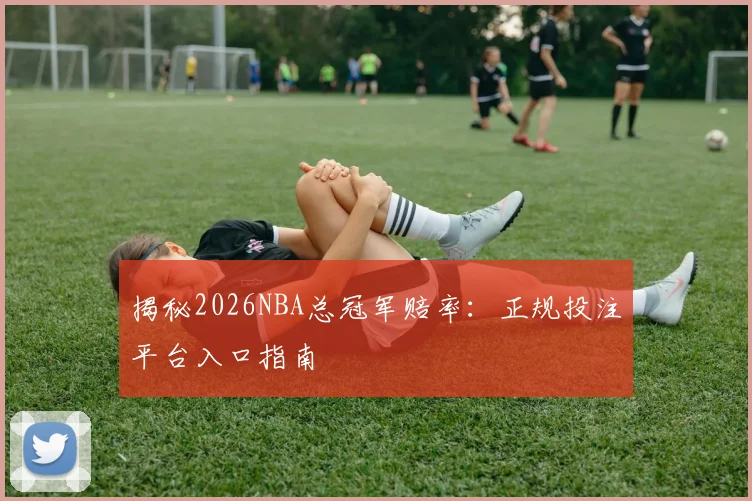揭秘2026NBA总冠军赔率：正规投注平台入口指南